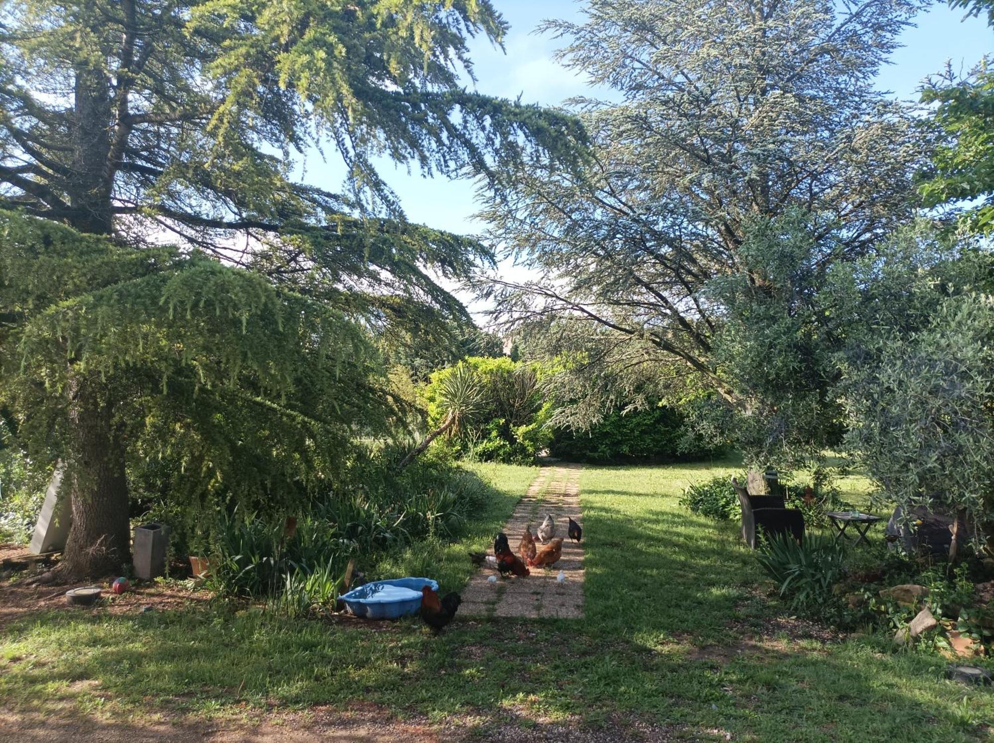 Homestay D'hotes Les Garrigues Piolenc